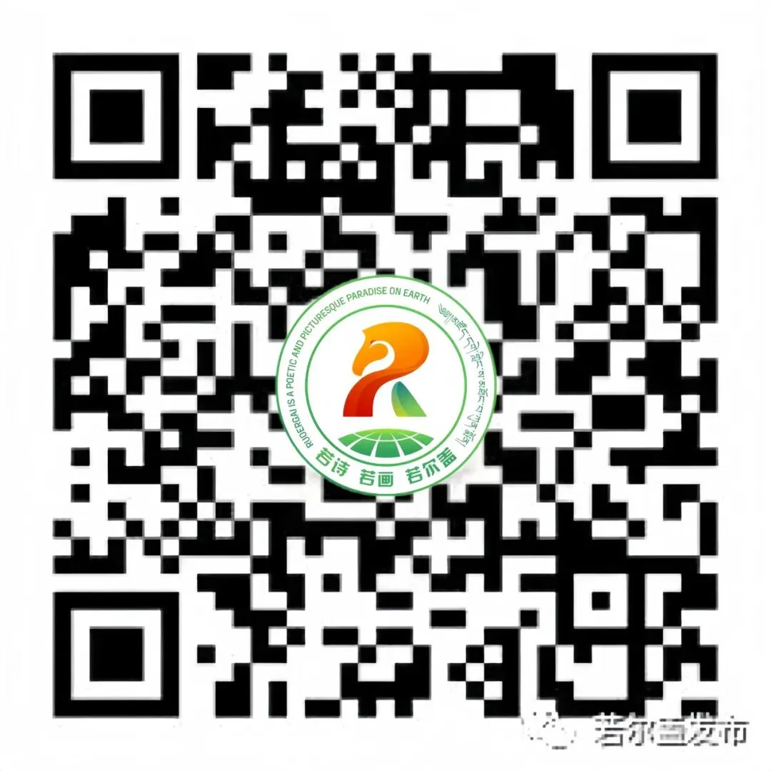 安全生产 | 若尔盖县市场监督管理局开展“人民币版”冥币专项监督检查