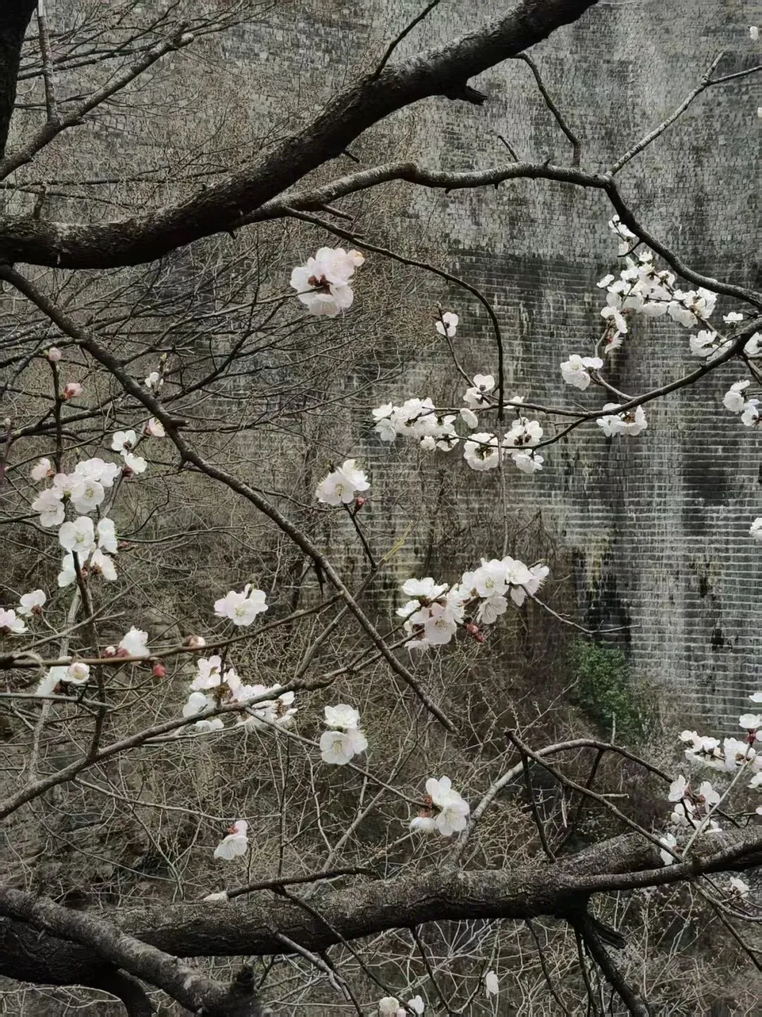 春日出逃计划|计算机技术协会云台山春游圆满收官,一起邂逅山水与浪漫!