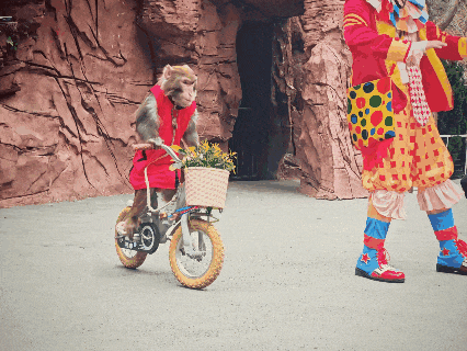 春日出逃计划|计算机技术协会云台山春游圆满收官,一起邂逅山水与浪漫!