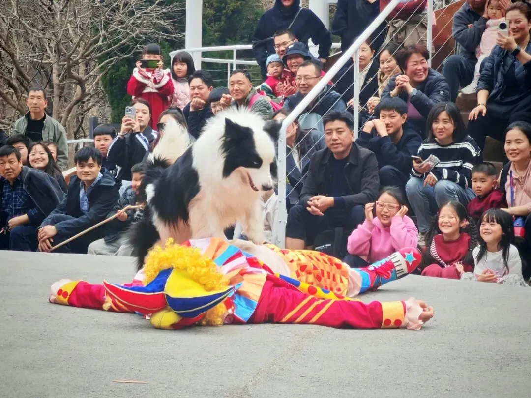 春日出逃计划|计算机技术协会云台山春游圆满收官,一起邂逅山水与浪漫!