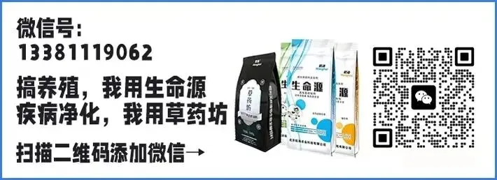 2026年生猪市场展望:产能去化深化,价格拐点何时到来