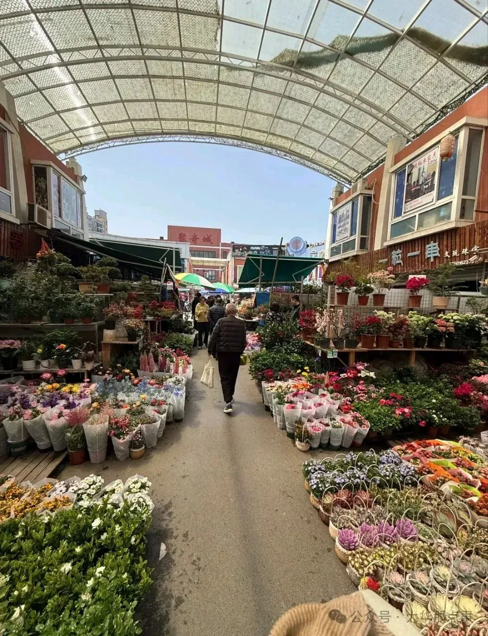 岚灵花鸟市场西门关闭!2/3商户明确去向…