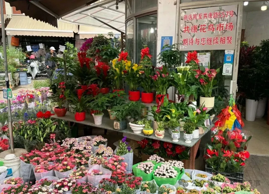 岚灵花鸟市场西门关闭!2/3商户明确去向…