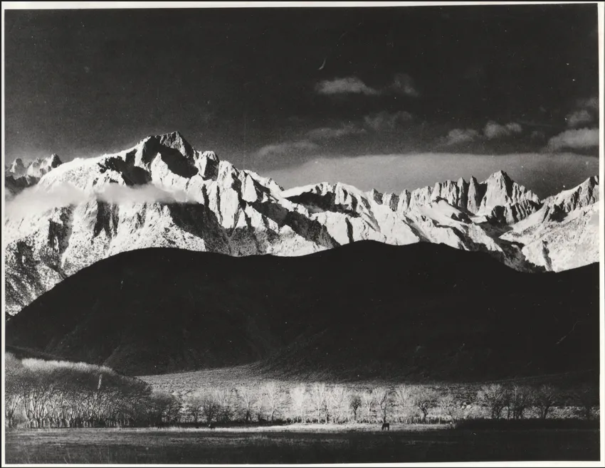 亚当斯的一生(二)——多渠道投向市场的摄影艺术