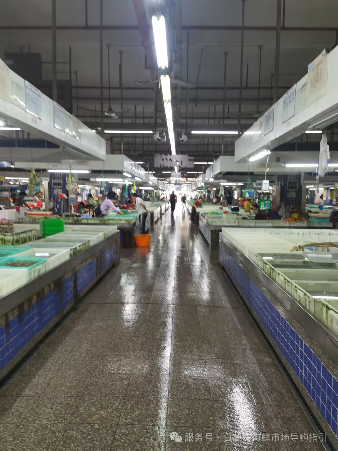 探秘珠海白藤头水产批发市场的黄金贝:从遥远的半岛浅海到白藤头,这颗 “海中黄金” 凭何成为健康饮食优选与餐桌新宠 ��