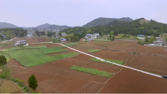 投资3500万美元!深“耕”中国市场→