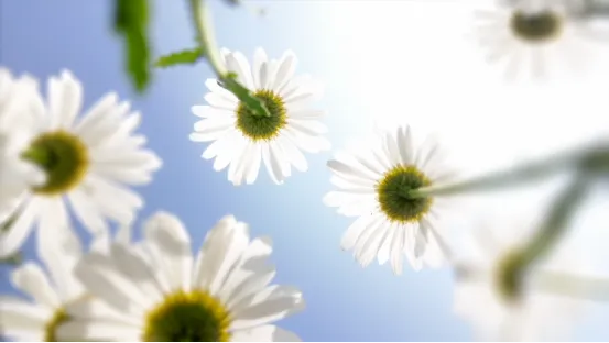 投资3500万美元!深“耕”中国市场→