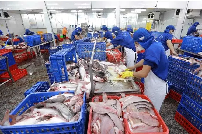 中国是越南农产品最大的出口市场!越南首季出口增长近6%