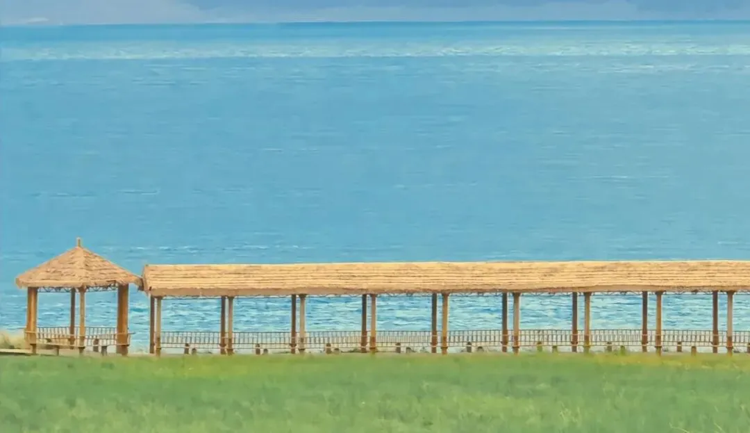 相亲市场的残酷真相:颜值败给了社保,学历败给了弟弟,收入败给了年龄