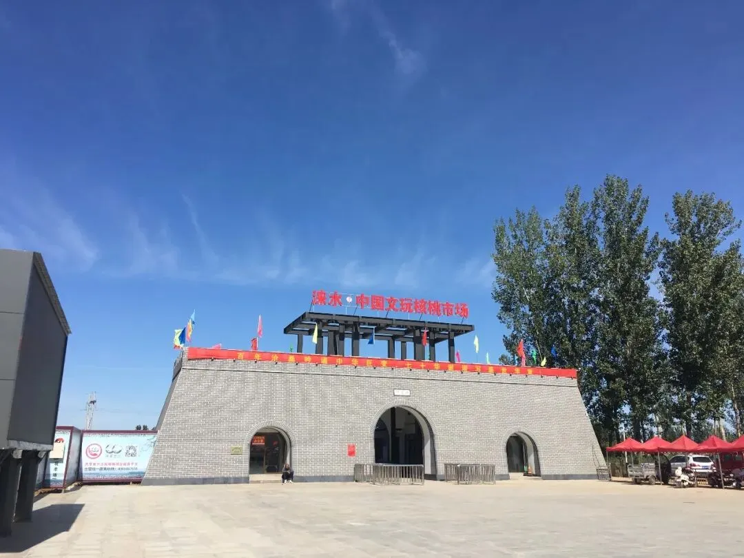 文旅创意:设计一个“涞水麻核桃市场的”运营方案