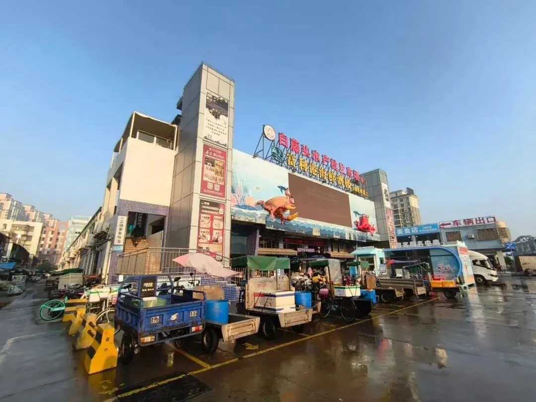 珠海白藤头海鲜批发市场沙白的鲜美之旅:解析为何人人爱这口鲜,推荐地道吃法,附赠清晨淘鲜的实用指南