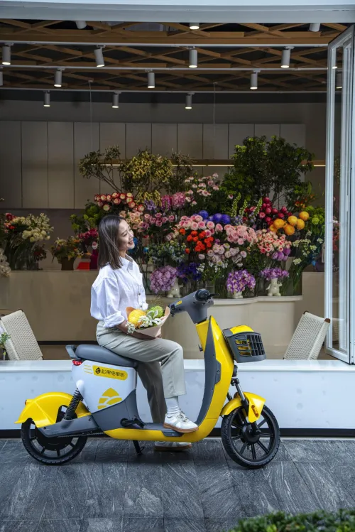 松果出行拟赴港IPO 募资助力拓展市场布局