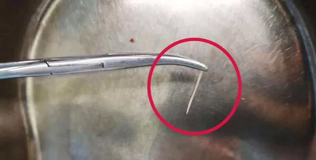 醒来!23°C!上海市中心最大花鸟市场关闭!瑞金医院提醒!确认大涨5倍!销冠保健品被查!世界杯赛程!沪3司机刑拘!西湖游客保安互吐口水