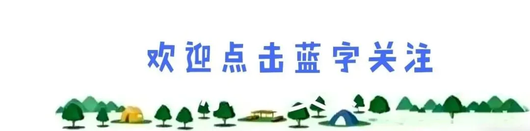 相亲市场新变化:现在年轻人找对象,开始看“前额叶”了