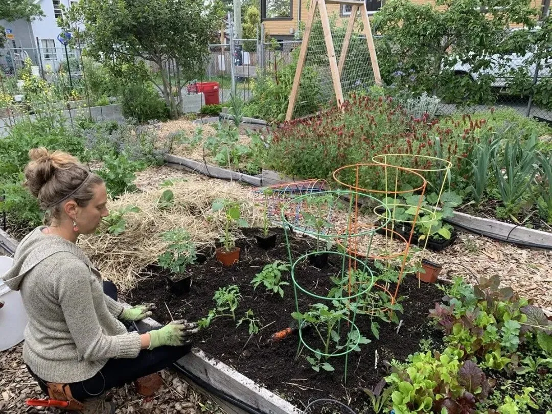 【房产资讯】3月维多利亚房地产市场:春季启动了,但市场逻辑已经变了