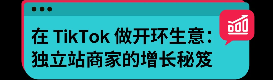 【方案】获客难、增长慢?独立站商家如何借力 TikTok 破局出海难