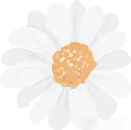 2026年4月深圳市场监管局出手了:深圳注册公司政策收紧!深圳注册公司流程+费用+地址+代账全解析(可代办)