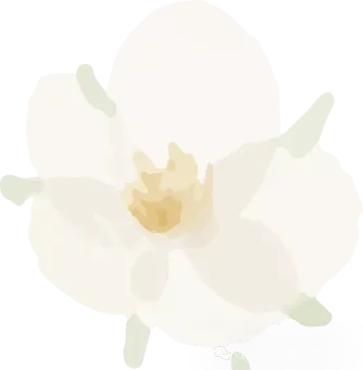 2026年4月深圳市场监管局出手了:深圳注册公司政策收紧!深圳注册公司流程+费用+地址+代账全解析(可代办)