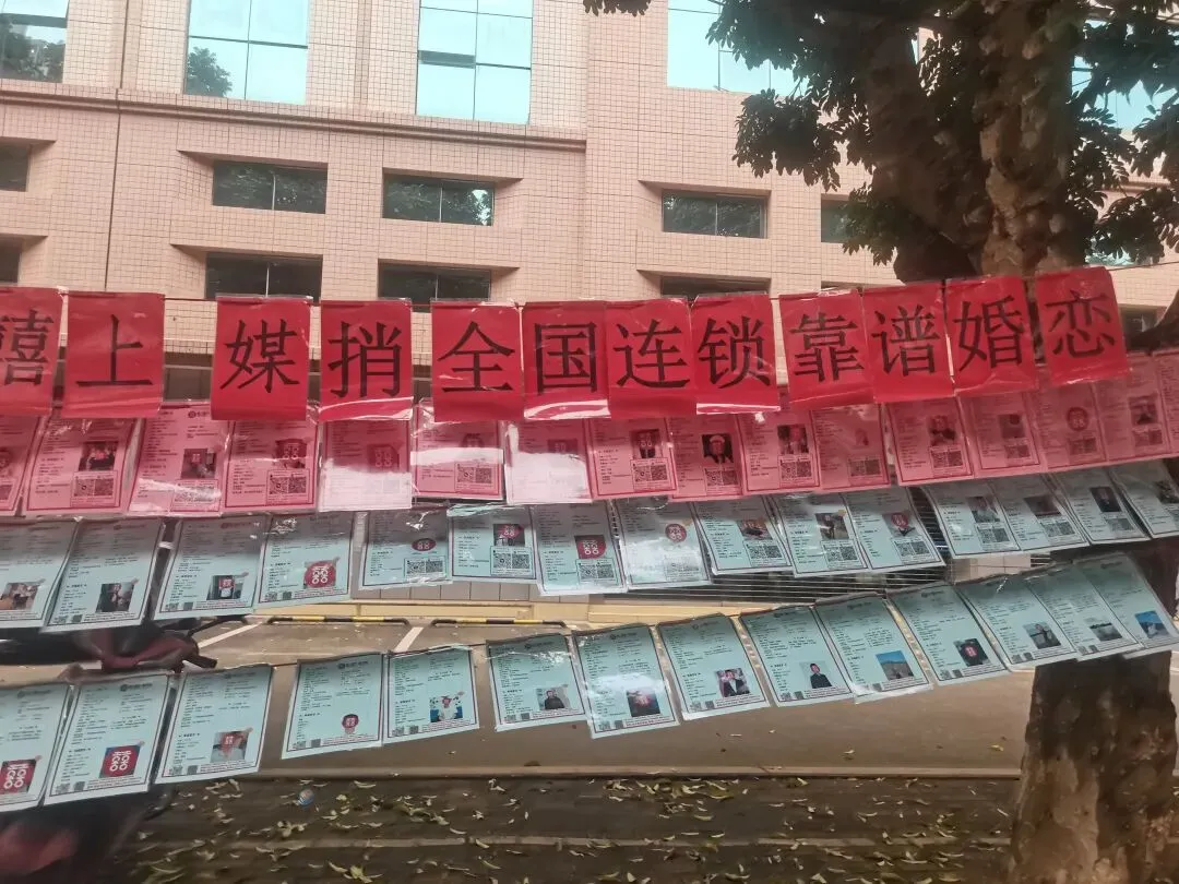 摆烂的婚恋市场,现在的年轻人到底怎么了?