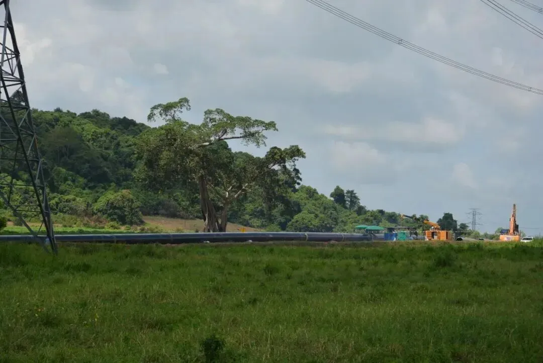 二次创业 奋斗有我|泰国市场连中两标!