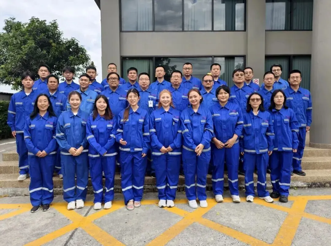 二次创业 奋斗有我|泰国市场连中两标!