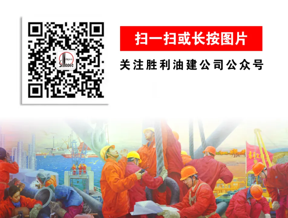 二次创业 奋斗有我|泰国市场连中两标!