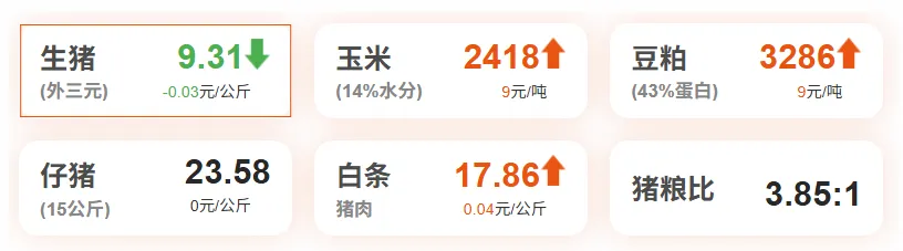 生猪鸡蛋市场早报 | 2026年4月2日 星期四