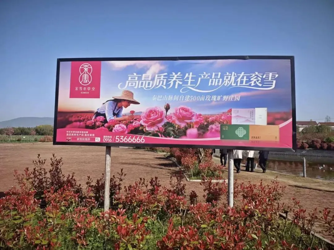 品牌赋能,共赢市场—味见汉中品牌公司、赤土岭文协赴衮雪公司考察调研