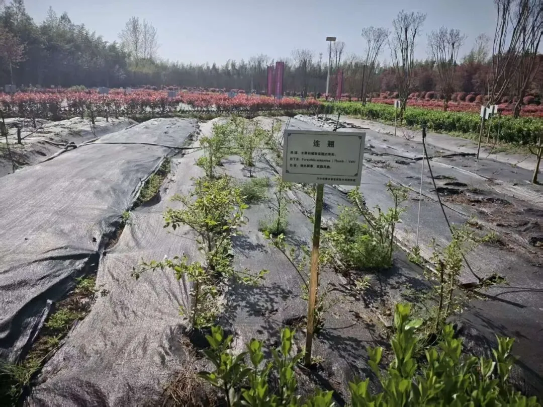 品牌赋能,共赢市场—味见汉中品牌公司、赤土岭文协赴衮雪公司考察调研