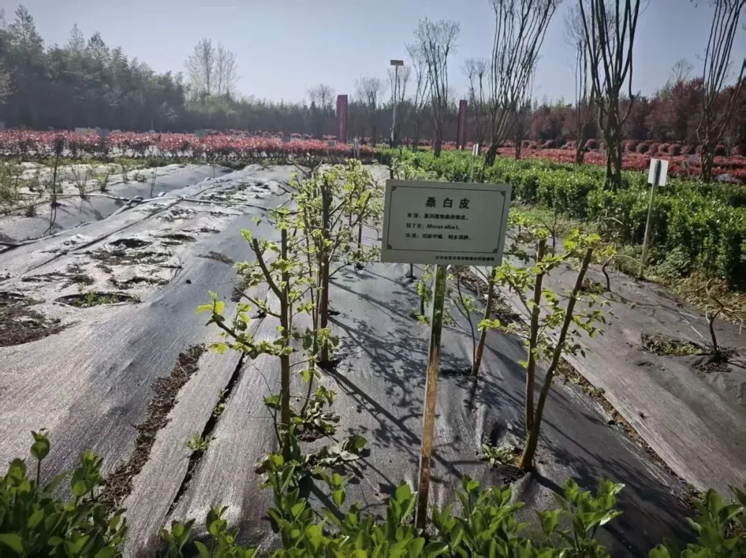 品牌赋能,共赢市场—味见汉中品牌公司、赤土岭文协赴衮雪公司考察调研