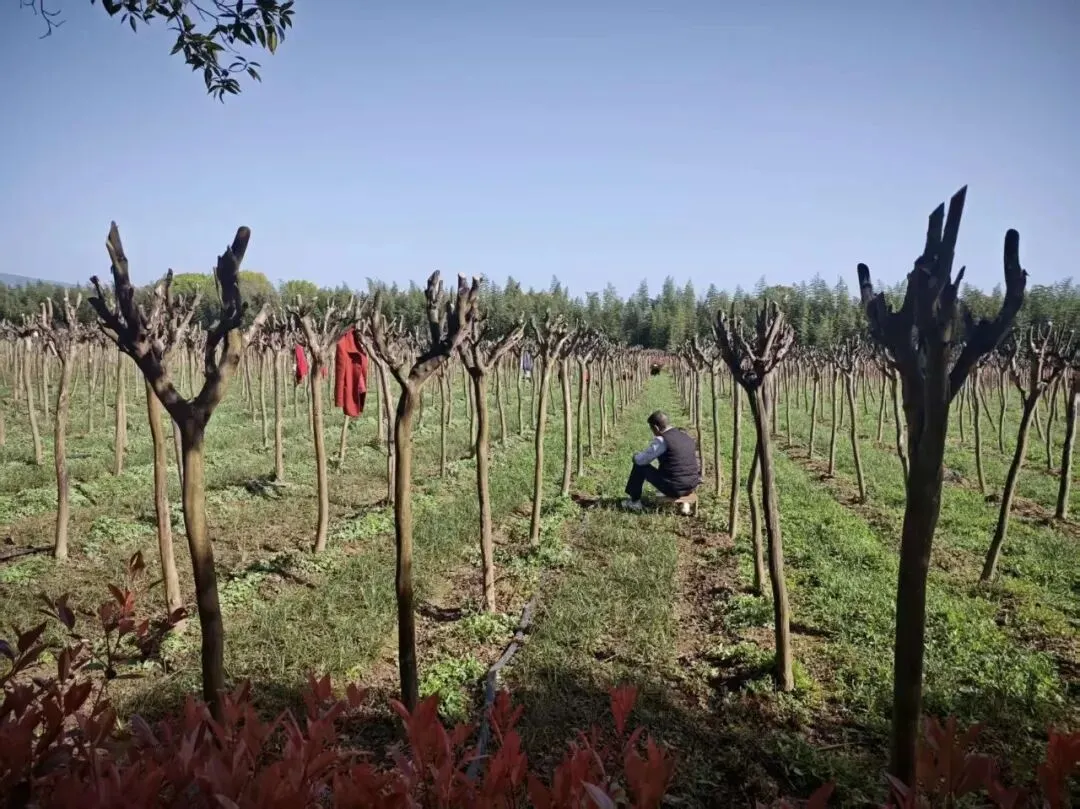 品牌赋能,共赢市场—味见汉中品牌公司、赤土岭文协赴衮雪公司考察调研