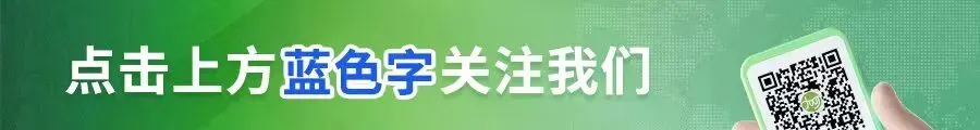 4月2日废纸市场偏弱,降价厂家占多数!