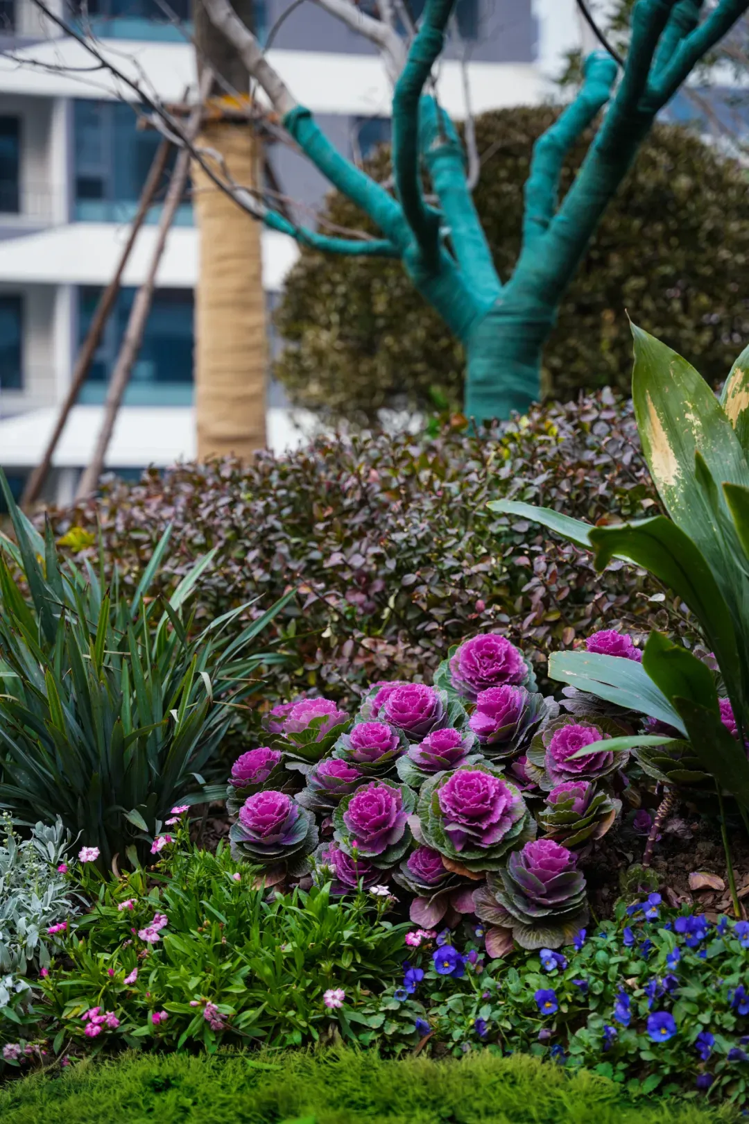 鲲鹏云景書院丨当市场回归理性,什么才是“好房子”的答案?