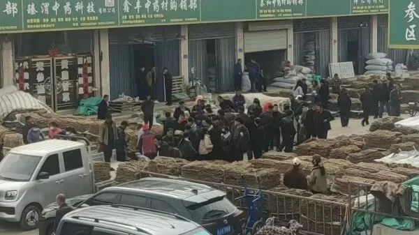 2026年4月2日渭源中药材市场快讯