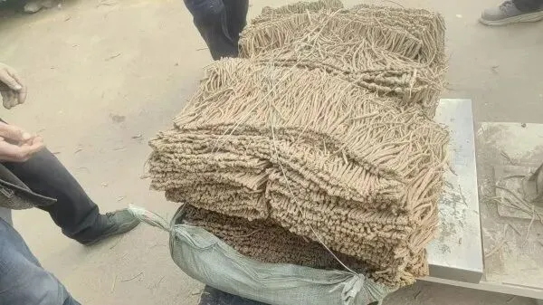 2026年4月2日渭源中药材市场快讯