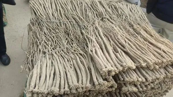 2026年4月2日渭源中药材市场快讯