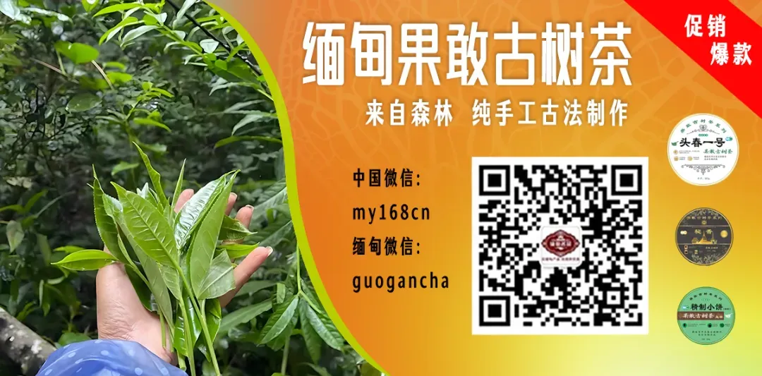 触目惊心!越南300吨病猪流入市场,兽医被曝“工资低就放行”