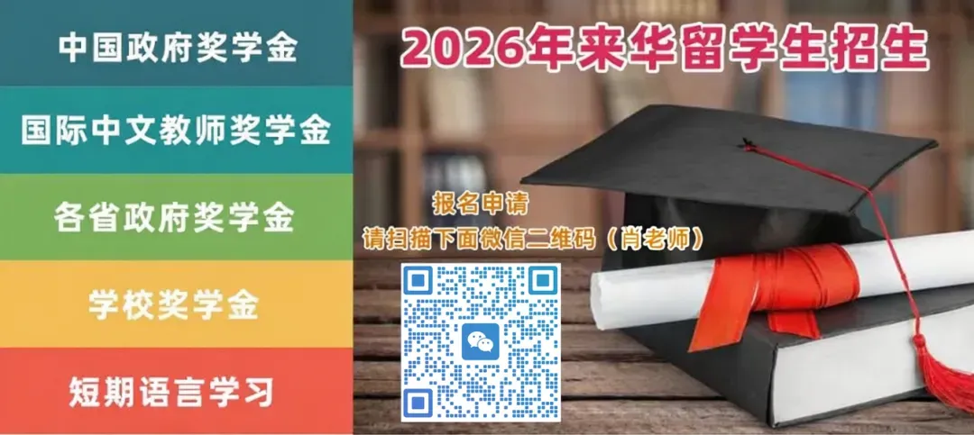 触目惊心!越南300吨病猪流入市场,兽医被曝“工资低就放行”
