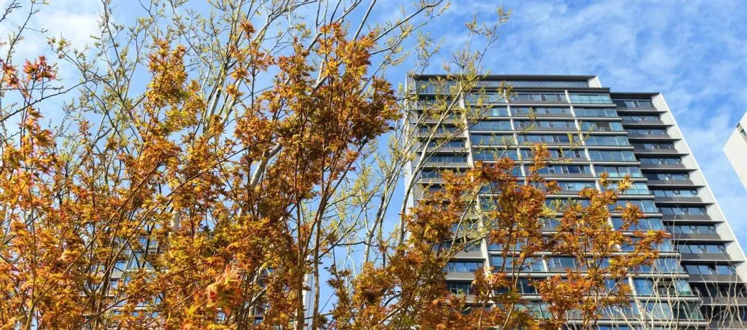 【首玺豪宅】独家解析3月豪宅市场