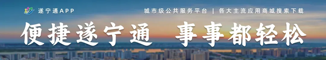 遂宁市旅游市场整治“雷霆”行动典型案例