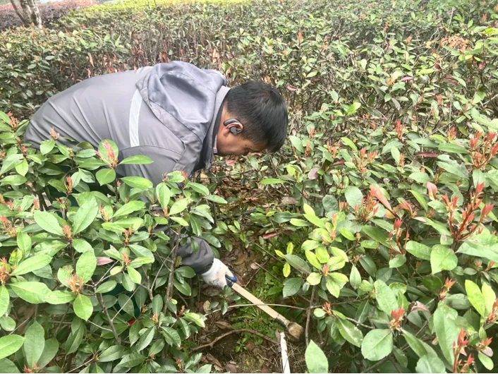 合肥要素市场服务中心2026年3月月度报告