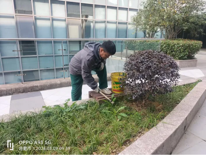 合肥要素市场服务中心2026年3月月度报告