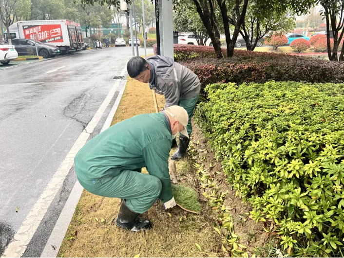 合肥要素市场服务中心2026年3月月度报告