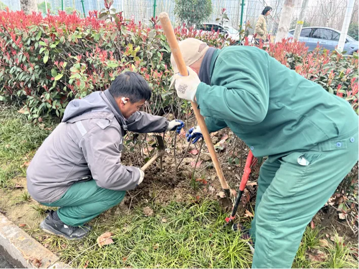 合肥要素市场服务中心2026年3月月度报告