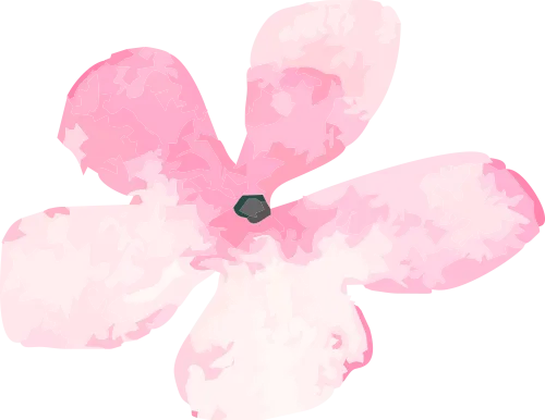 集团巾帼建功标兵|李楠:营销战线上的巾帼亮色