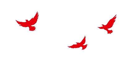 集团巾帼建功标兵|李楠:营销战线上的巾帼亮色