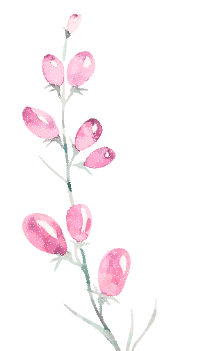 集团巾帼建功标兵|李楠:营销战线上的巾帼亮色