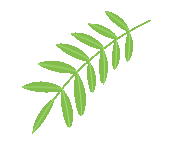 长水河农场有限公司召开粮食营销第一次调度会议