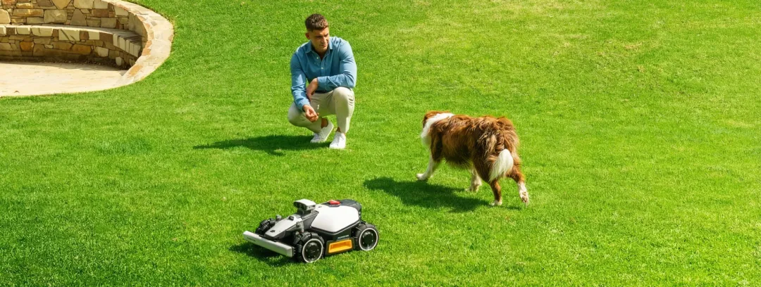 海外红人营销|大疆前高管出海卖“割草机器人”,做到全球第一!