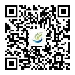 4月2日苏粮市场粮油产品价格行情